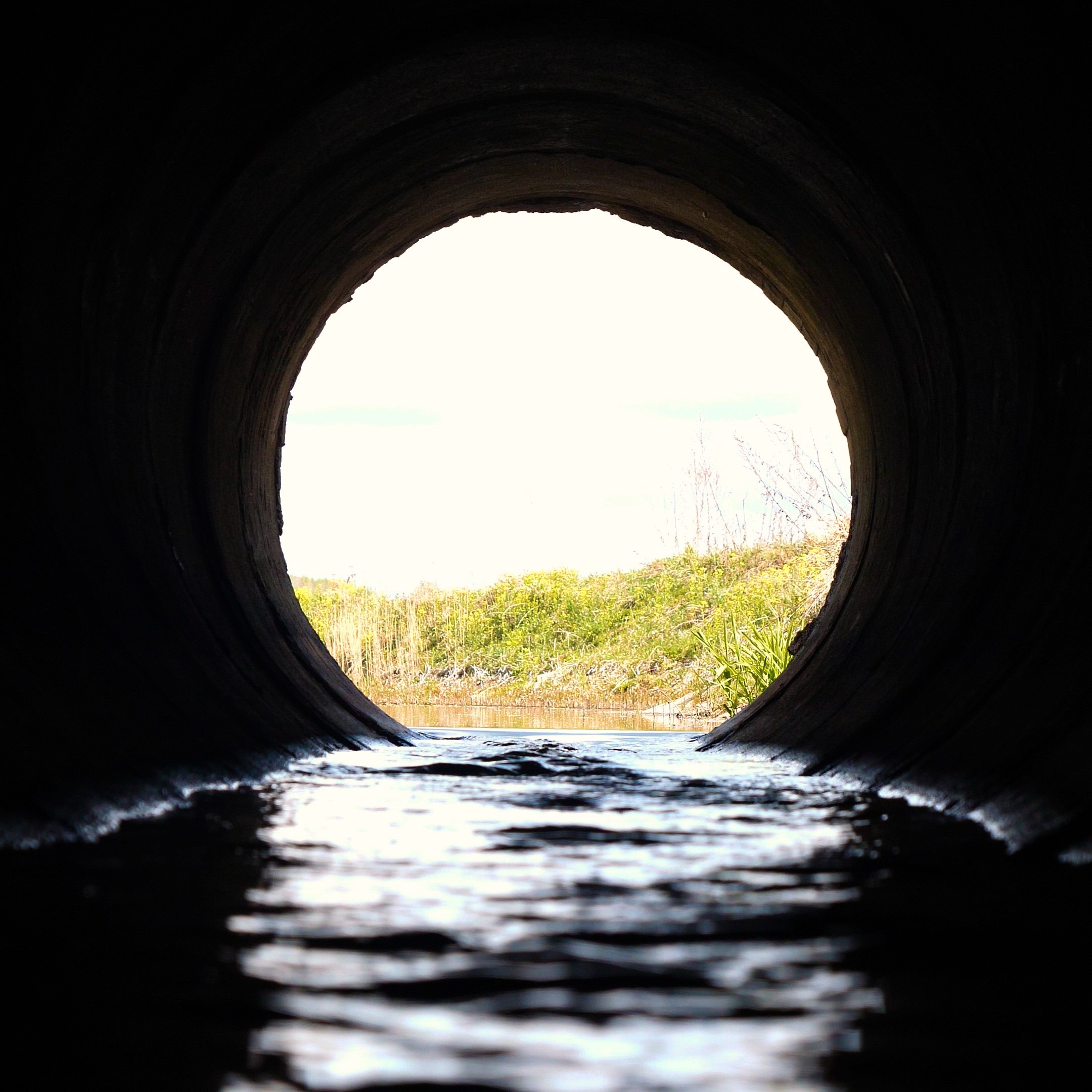 Assist in Shutdown and Execution